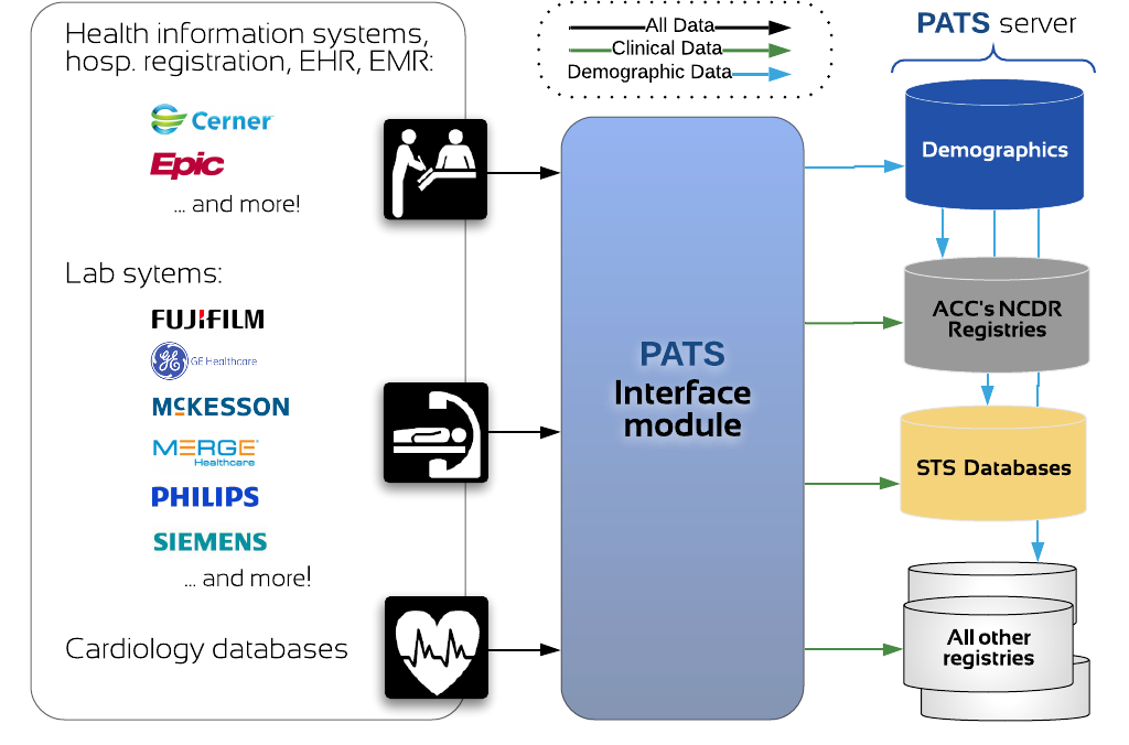 Interface 2019